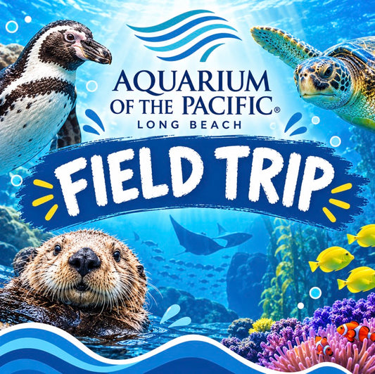 4th–5th Grade: Aquarium of the Pacific